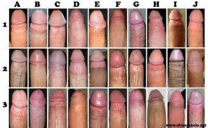 Lee más sobre el artículo Cual seria tu polla ideal?