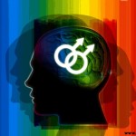 Lee más sobre el artículo Homosexualidad: gay se nace, dice nuevo estudio