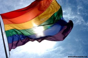 Lee más sobre el artículo La bandera gay ya tiene 35 años