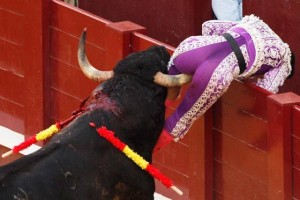 Lee más sobre el artículo La cornada por el culo al torero